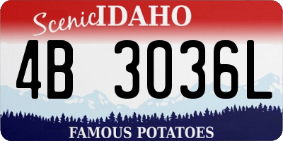 ID license plate 4B3036L
