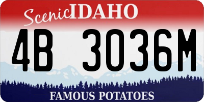 ID license plate 4B3036M