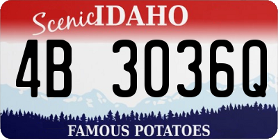 ID license plate 4B3036Q