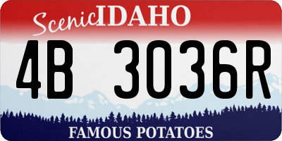 ID license plate 4B3036R