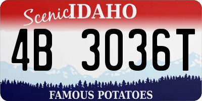 ID license plate 4B3036T