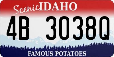 ID license plate 4B3038Q