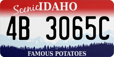 ID license plate 4B3065C