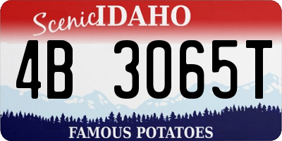 ID license plate 4B3065T