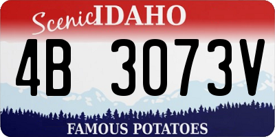 ID license plate 4B3073V
