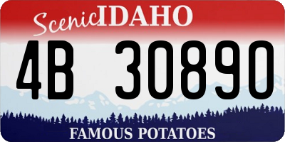 ID license plate 4B3089O