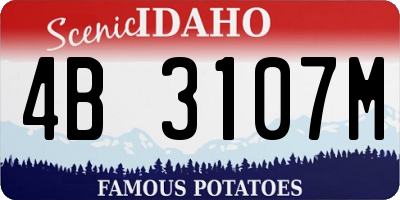 ID license plate 4B3107M