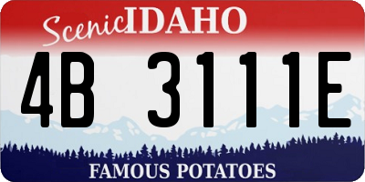 ID license plate 4B3111E