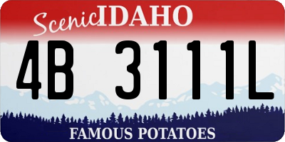 ID license plate 4B3111L