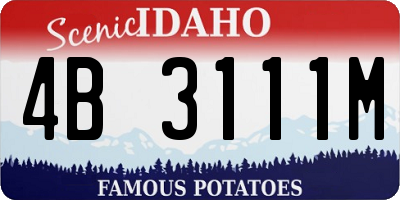ID license plate 4B3111M