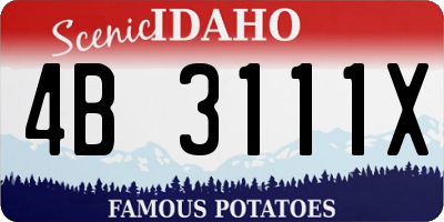 ID license plate 4B3111X