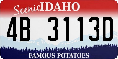 ID license plate 4B3113D