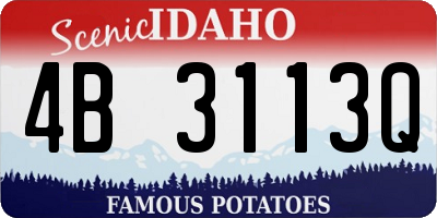 ID license plate 4B3113Q