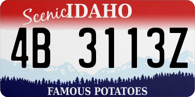 ID license plate 4B3113Z