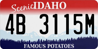 ID license plate 4B3115M