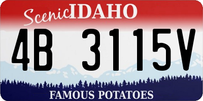 ID license plate 4B3115V