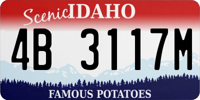 ID license plate 4B3117M