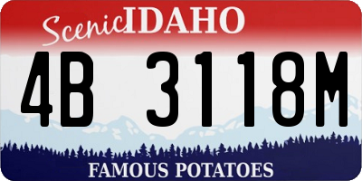 ID license plate 4B3118M
