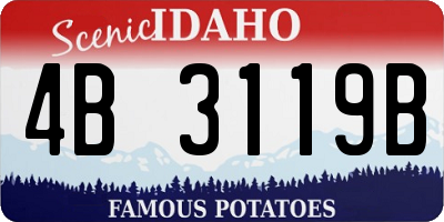 ID license plate 4B3119B