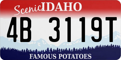 ID license plate 4B3119T