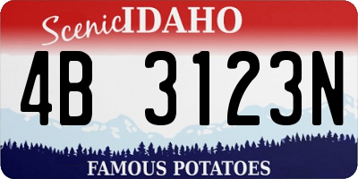 ID license plate 4B3123N