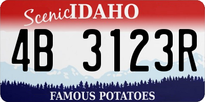 ID license plate 4B3123R