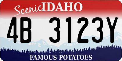 ID license plate 4B3123Y