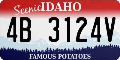 ID license plate 4B3124V