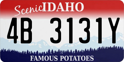 ID license plate 4B3131Y