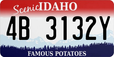 ID license plate 4B3132Y