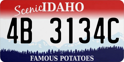 ID license plate 4B3134C