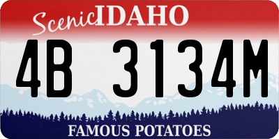 ID license plate 4B3134M