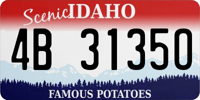 ID license plate 4B3135O
