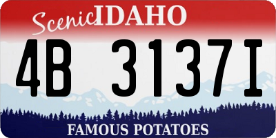 ID license plate 4B3137I
