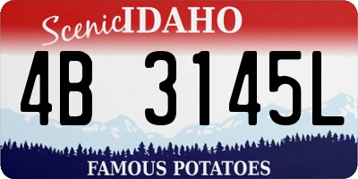 ID license plate 4B3145L