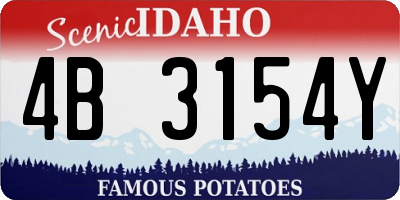 ID license plate 4B3154Y