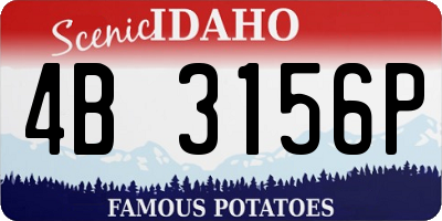 ID license plate 4B3156P