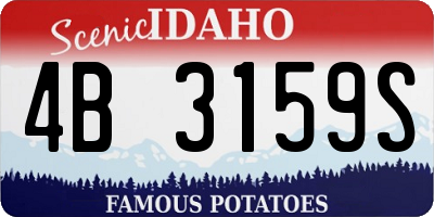 ID license plate 4B3159S