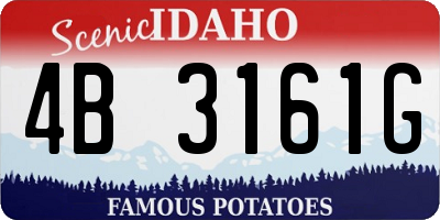 ID license plate 4B3161G