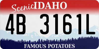 ID license plate 4B3161L