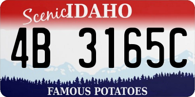 ID license plate 4B3165C