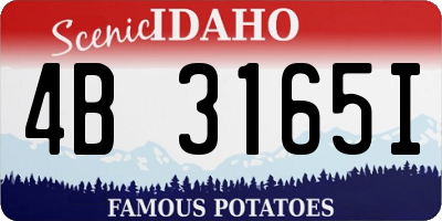 ID license plate 4B3165I