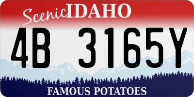 ID license plate 4B3165Y