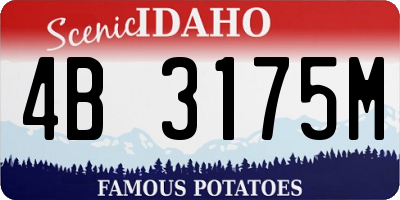 ID license plate 4B3175M