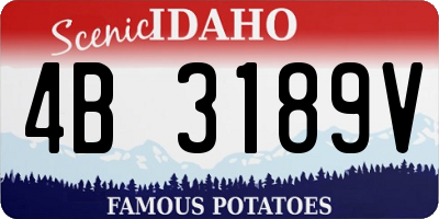 ID license plate 4B3189V