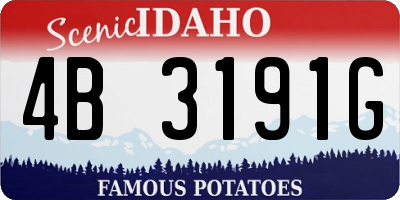 ID license plate 4B3191G