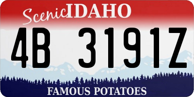 ID license plate 4B3191Z