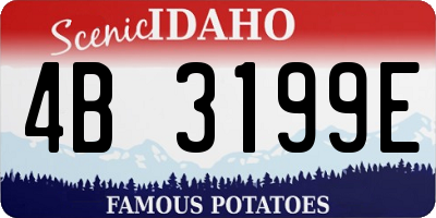 ID license plate 4B3199E