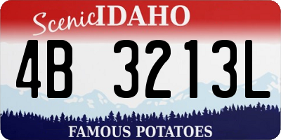ID license plate 4B3213L