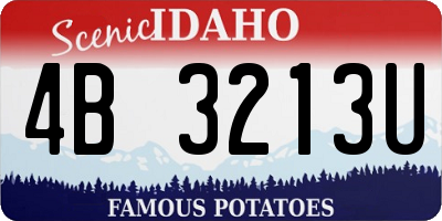 ID license plate 4B3213U